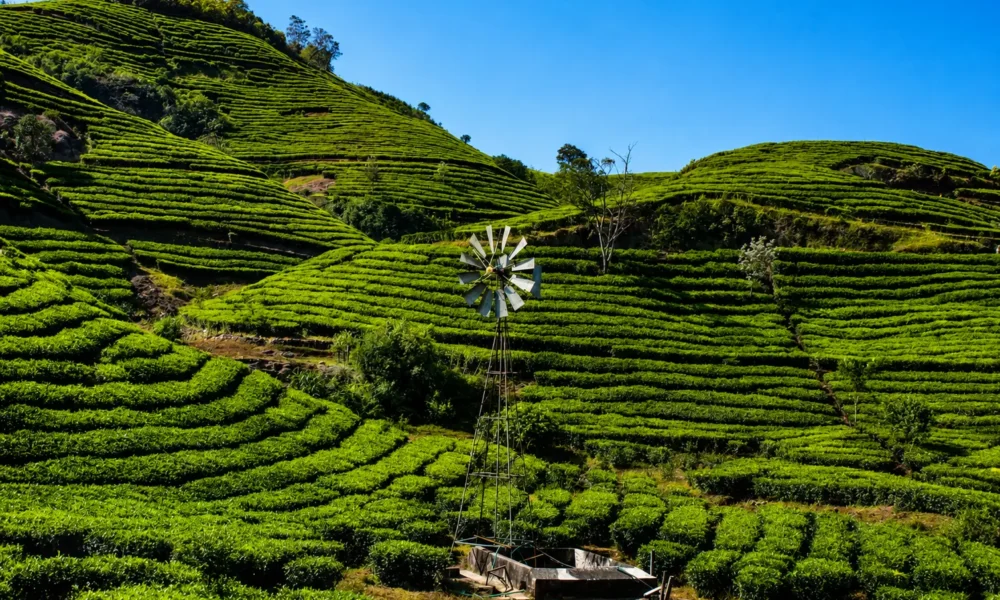 vagamon photo