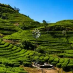 vagamon photo