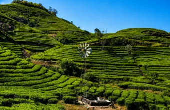 vagamon photo