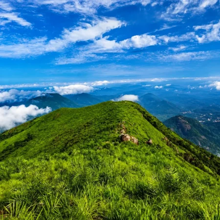 Ilaveezhapoonchira