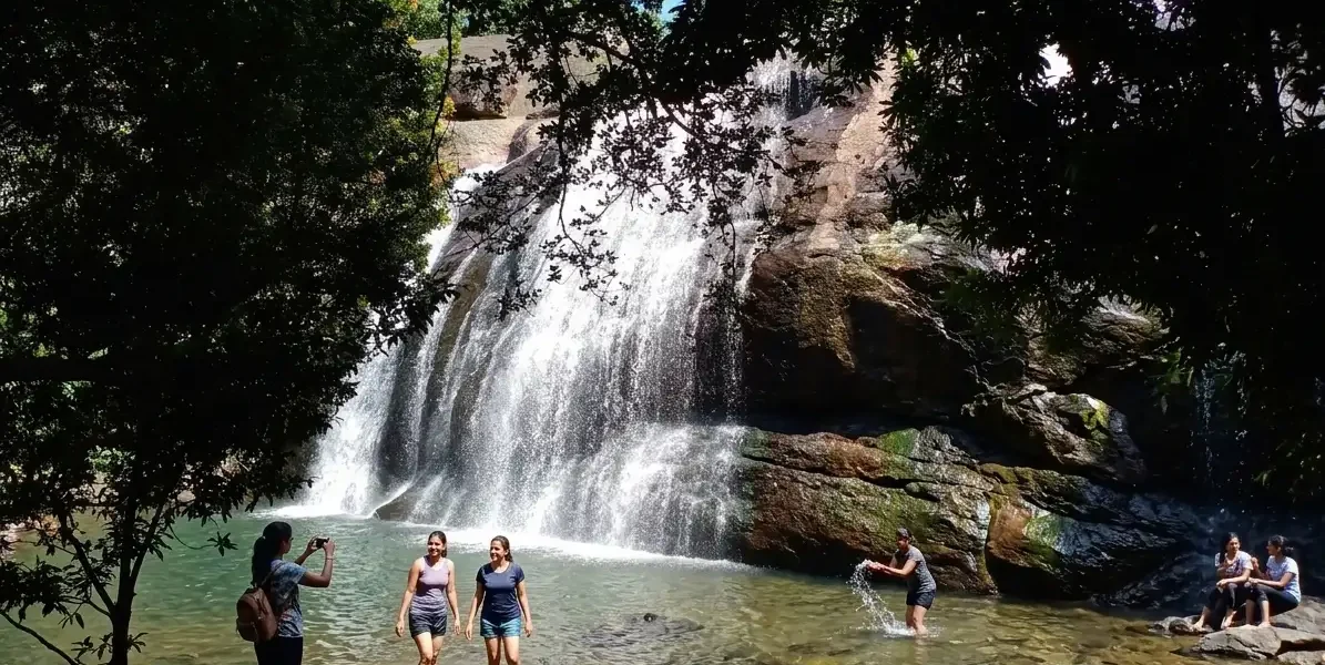 Anayadikuthu-waterfalls