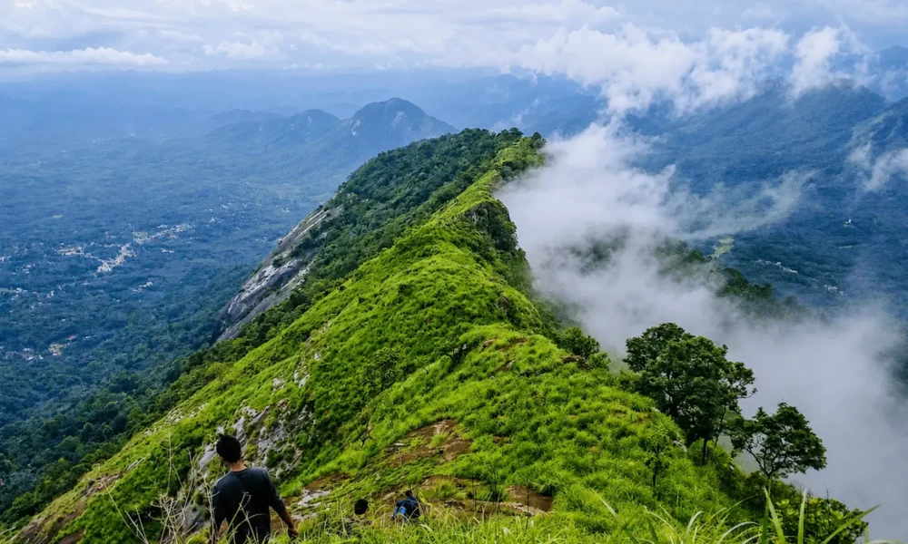 Kattadikadavu view point