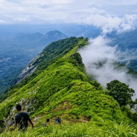 Kattadikadavu view point